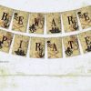 pirate party pennant banner